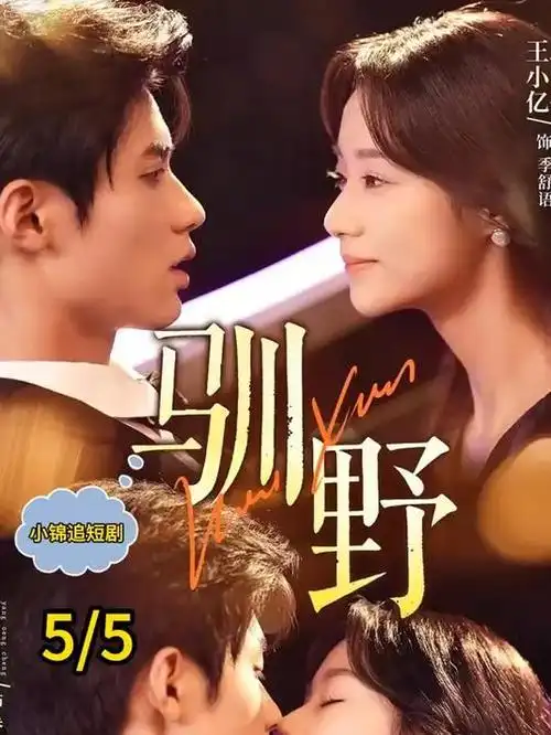 晚风信箱 都市治愈剧全集免费观看